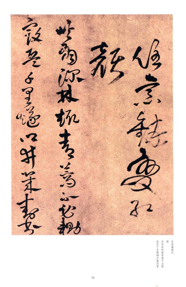 秋夜宿西寄友
