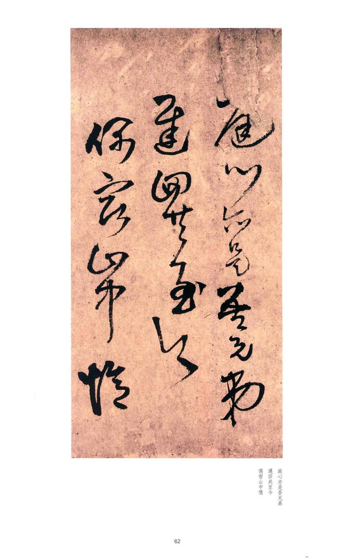 秋夜宿西寄友