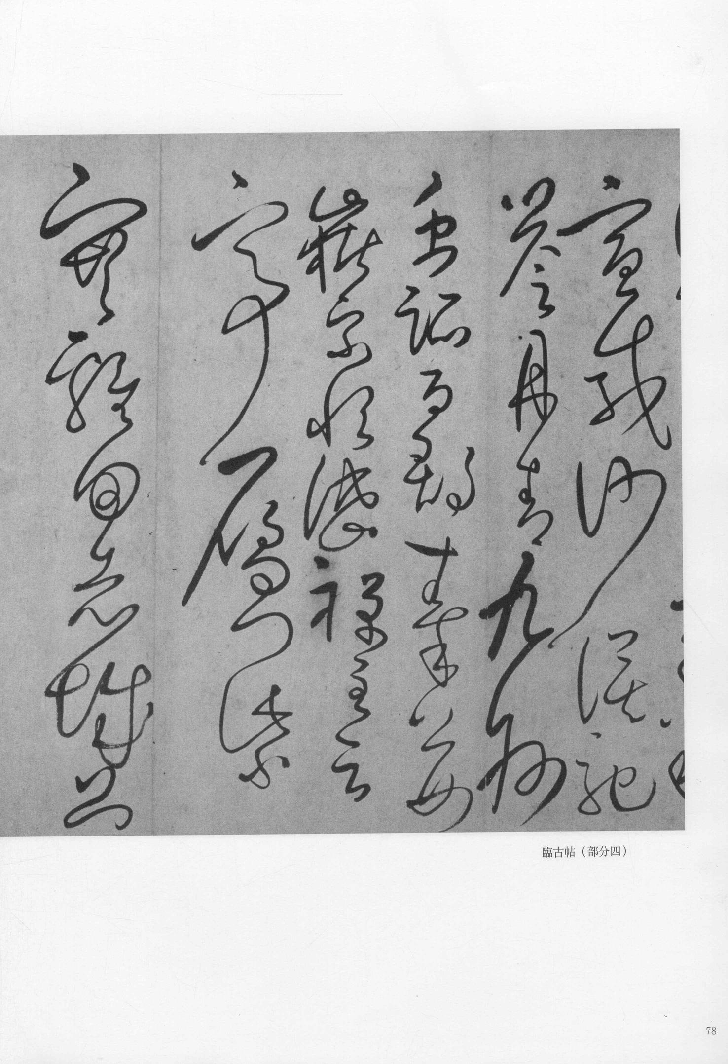 右九代三从伯祖