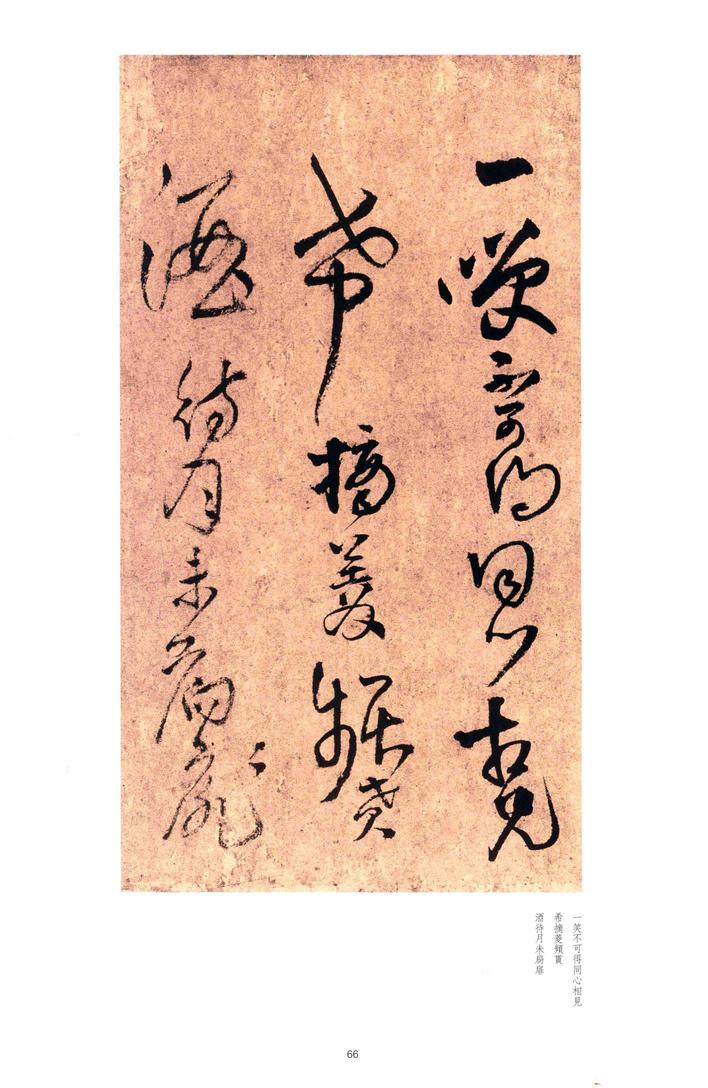 秋夜宿西寄友