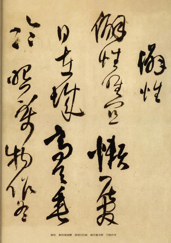 见鲵渊轩中