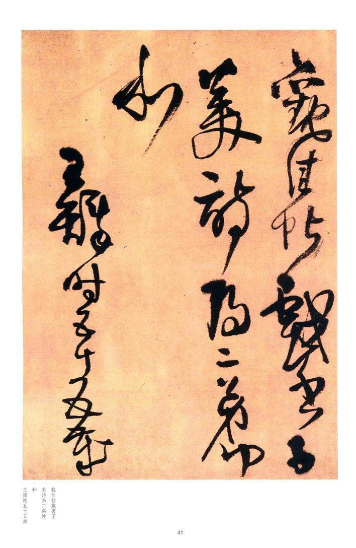 何限依山木