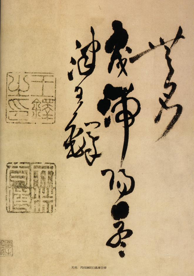 见鲵渊轩中