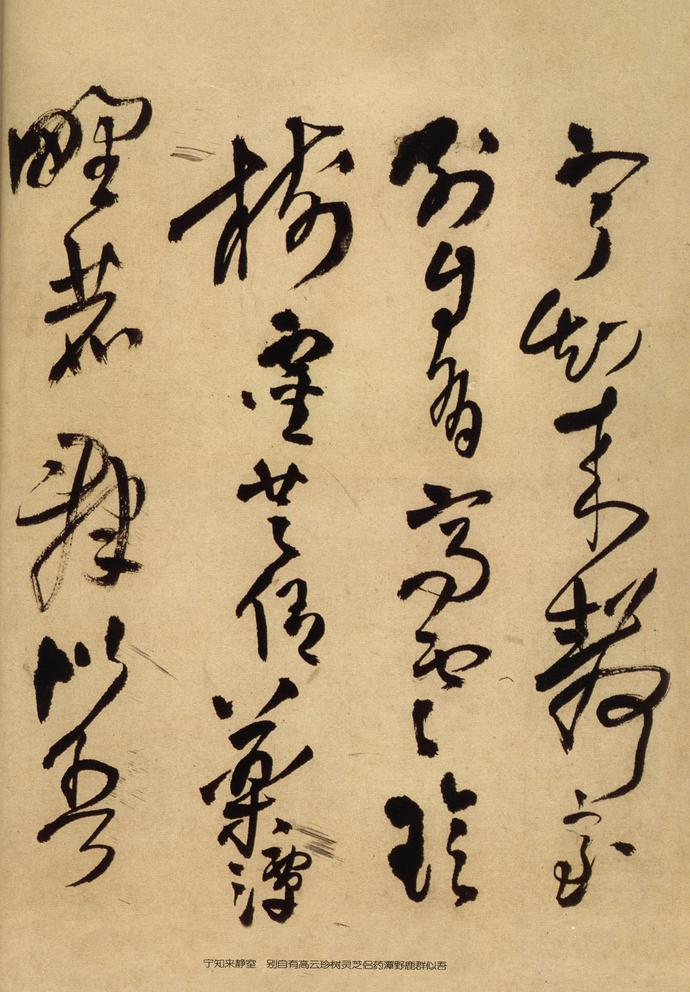 见鲵渊轩中