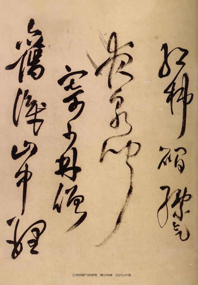 见鲵渊轩中