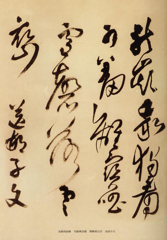 见鲵渊轩中