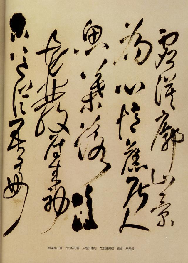 见鲵渊轩中