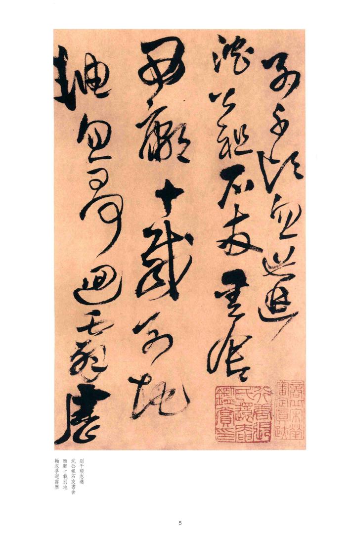 别千顷忽遘