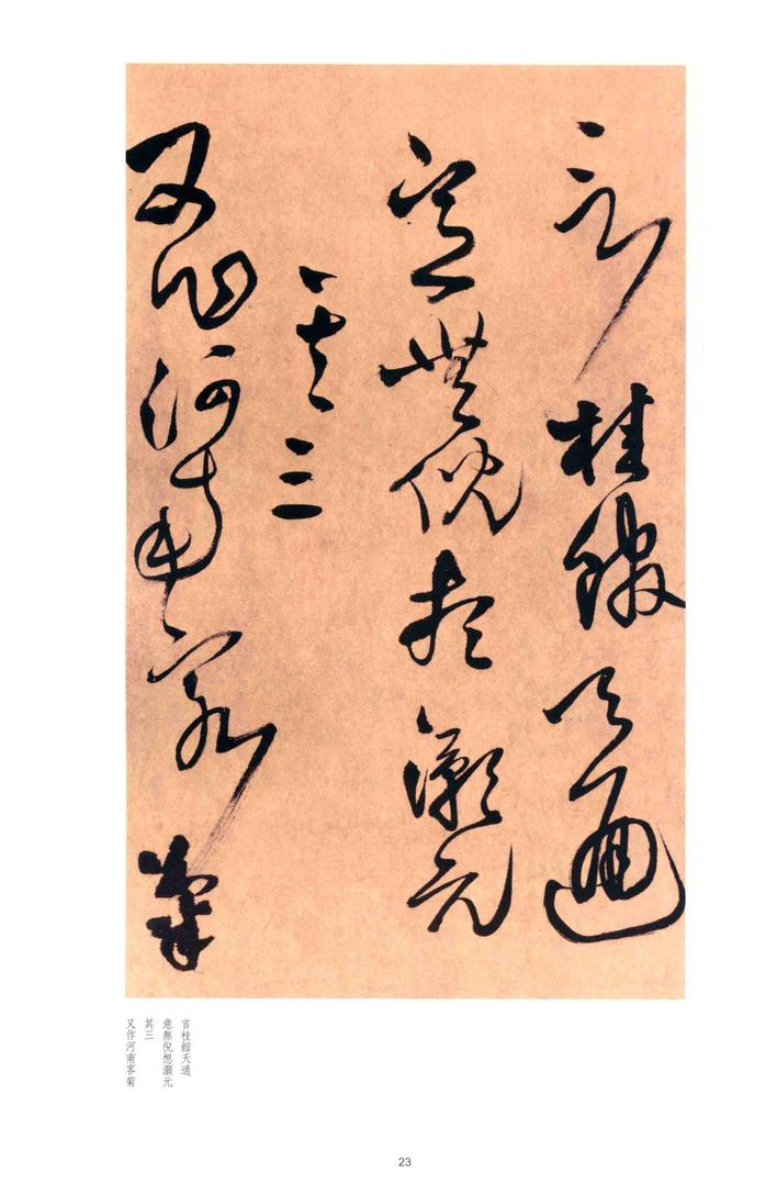 别千顷忽遘