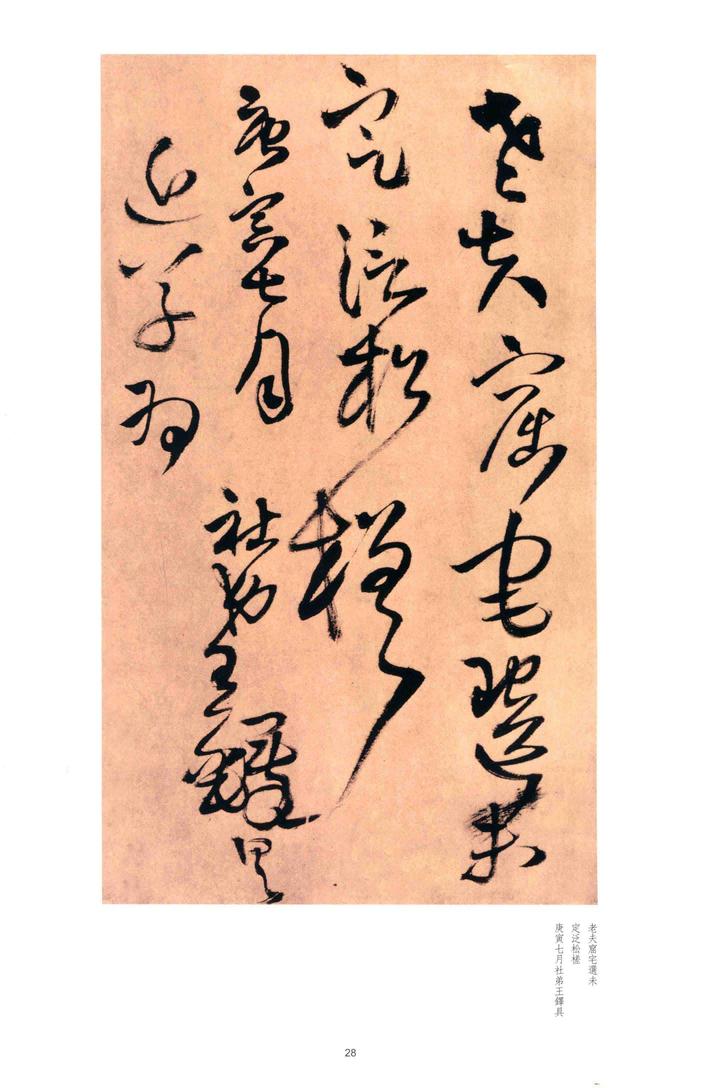别千顷忽遘