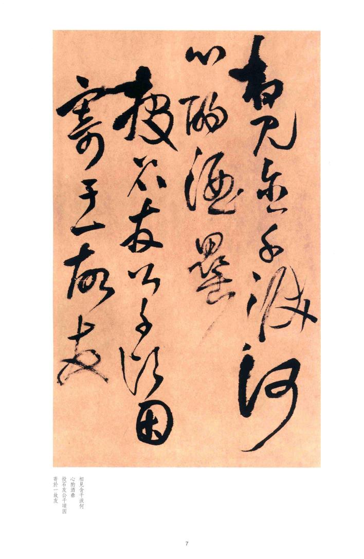 别千顷忽遘