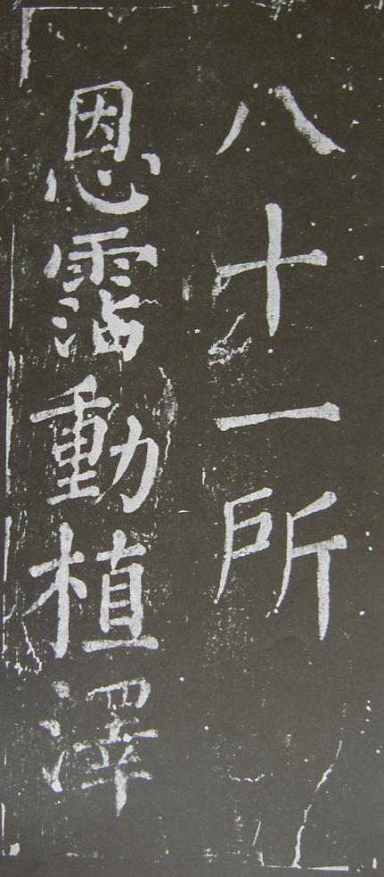 放生池碑