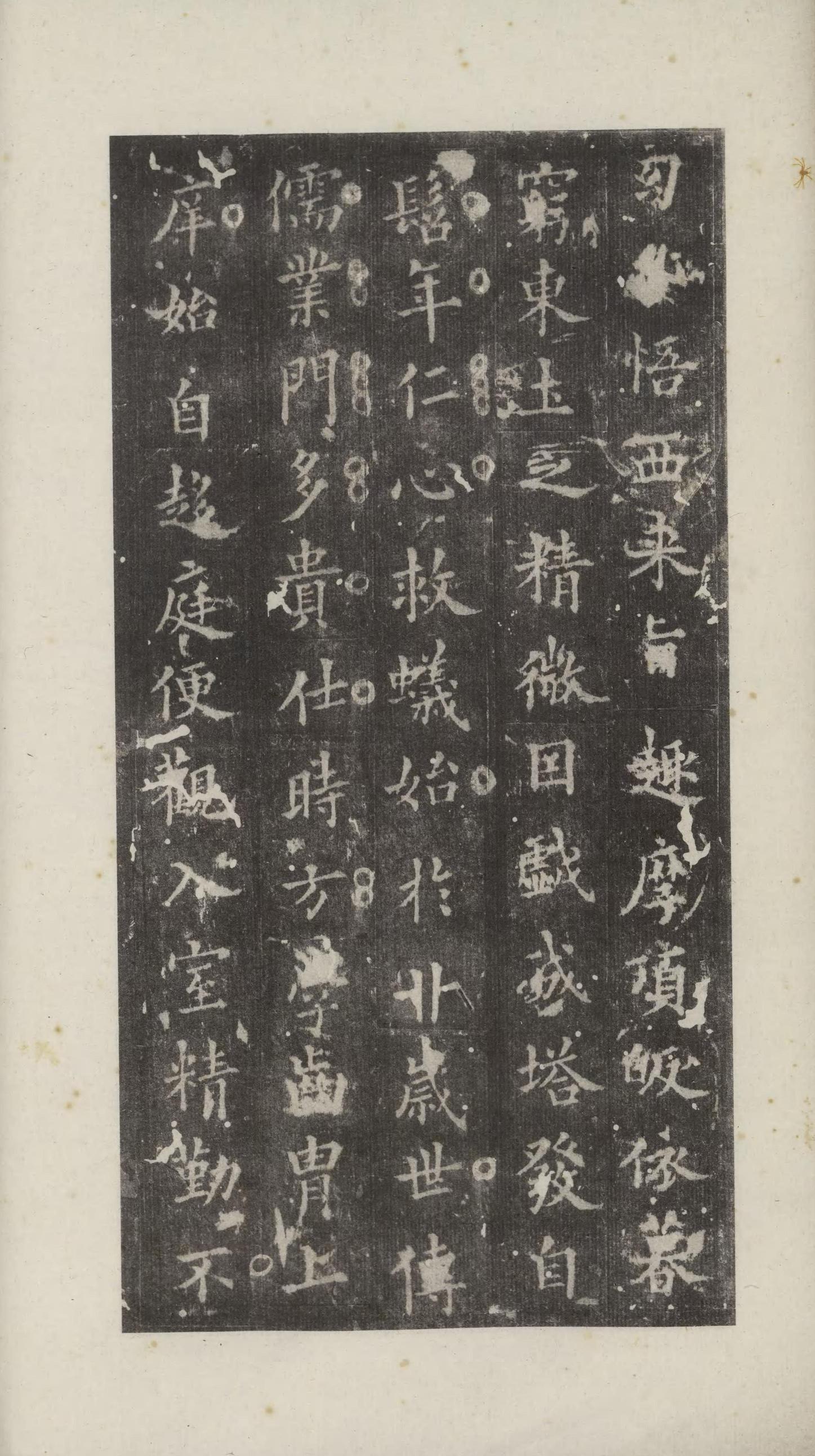 化度寺碑-日本国立图书馆