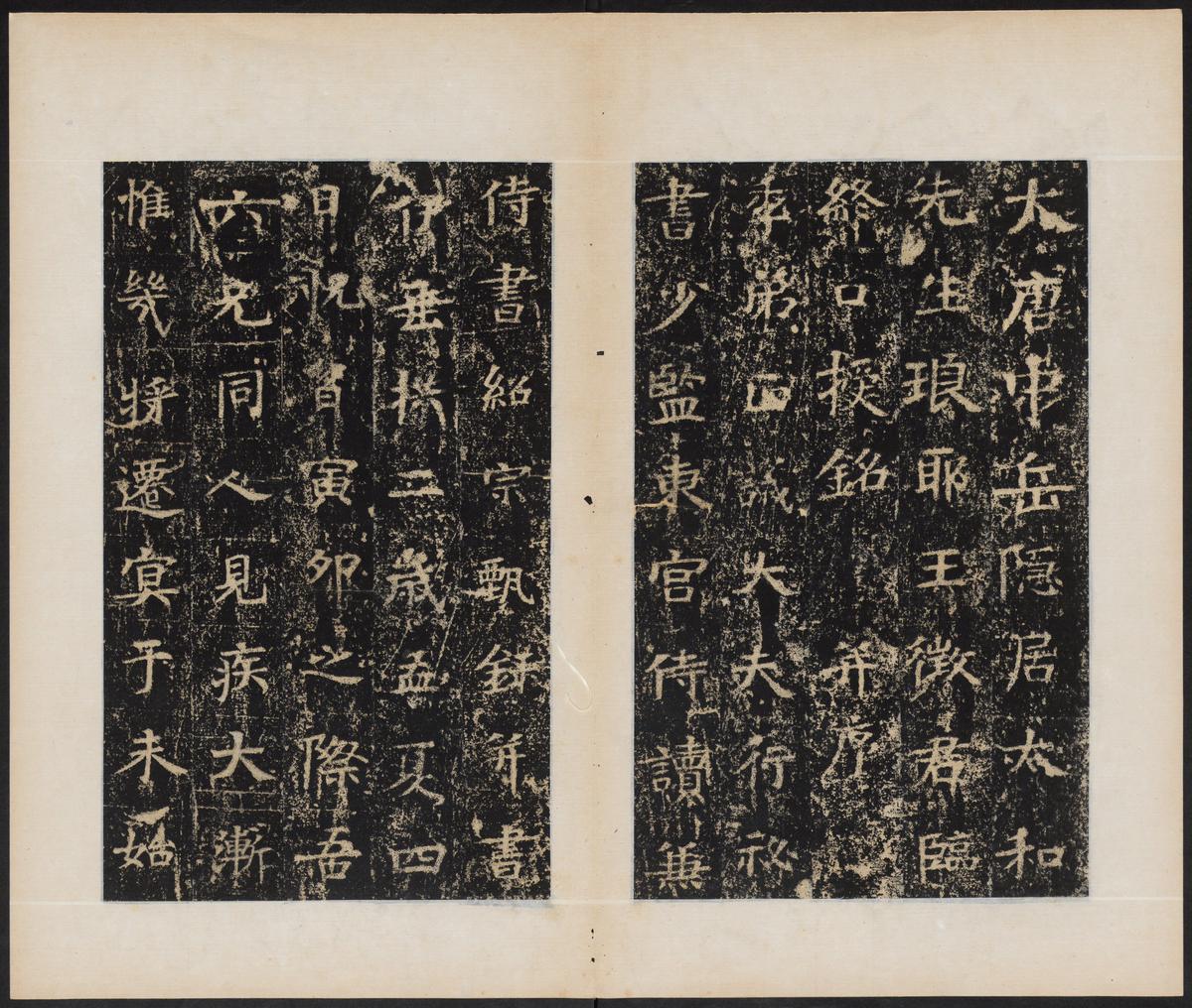 王征君临终口授铭